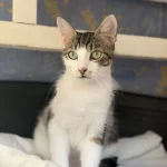 Alberto, nuotrauka 6