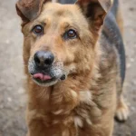 Bilbo, nuotrauka 3
