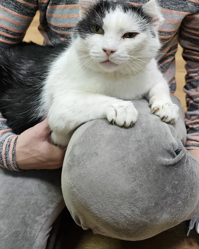 Dūkšta