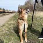 Lola, nuotrauka 14