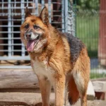 Lola, nuotrauka 13