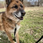 Lola, nuotrauka 16