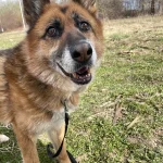 Lola, nuotrauka 17