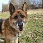 Lola, nuotrauka 18