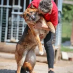 Lola, nuotrauka 10