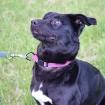 Luna, nuotrauka 11