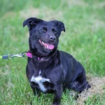 Luna, nuotrauka 8