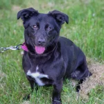 Luna, nuotrauka 10