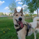 Noris, nuotrauka 12