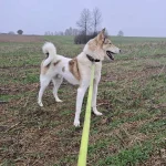 Noris, nuotrauka 16