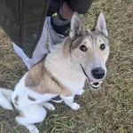 Noris, nuotrauka 7